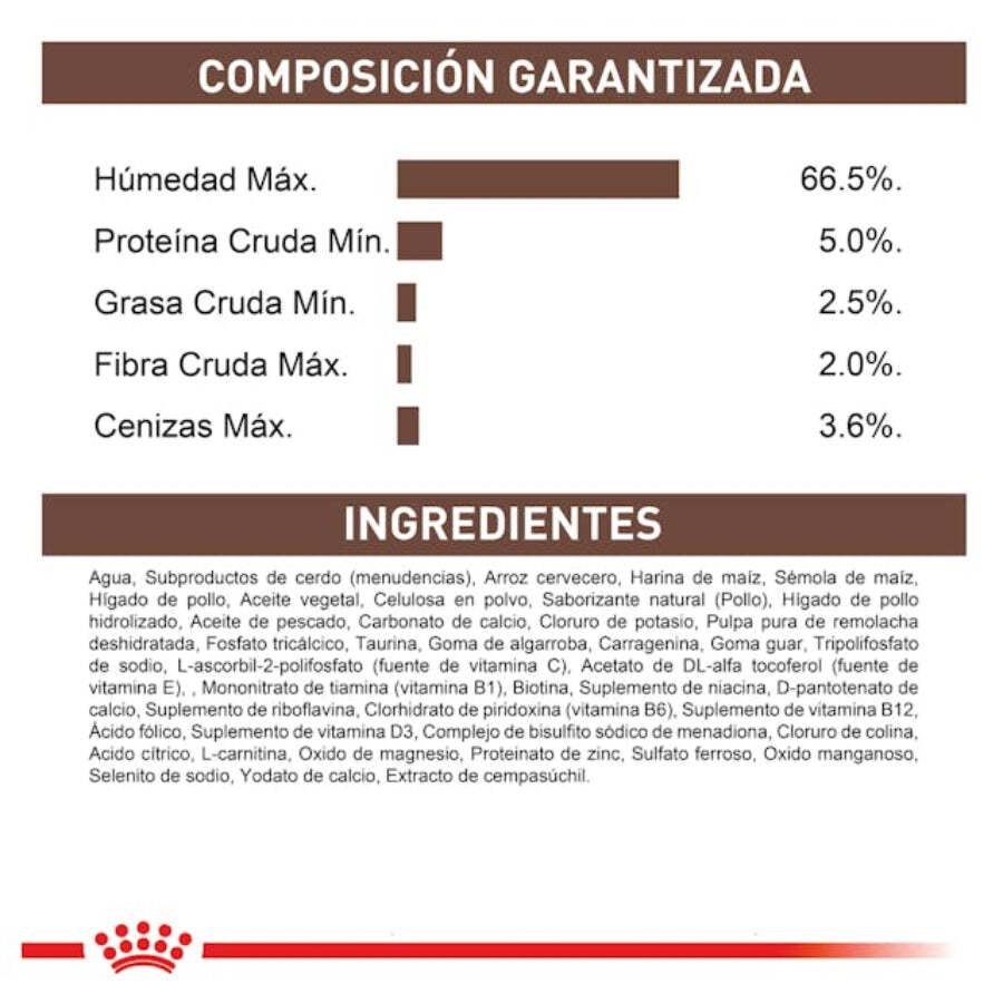 Pack 6x Royal Canin Hepatic Perro Lata, alimento terapéutico bajo en cobre y alto en energía, ideal para perros con problemas hepáticos.