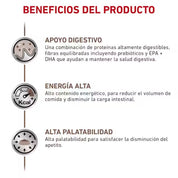 Pack 6x Royal Canin Lata Gastrointestinal 145Gr es un alimento húmedo para gatos con sensibilidad digestiva, con alta energía y prebióticos para una mejor digestión.
