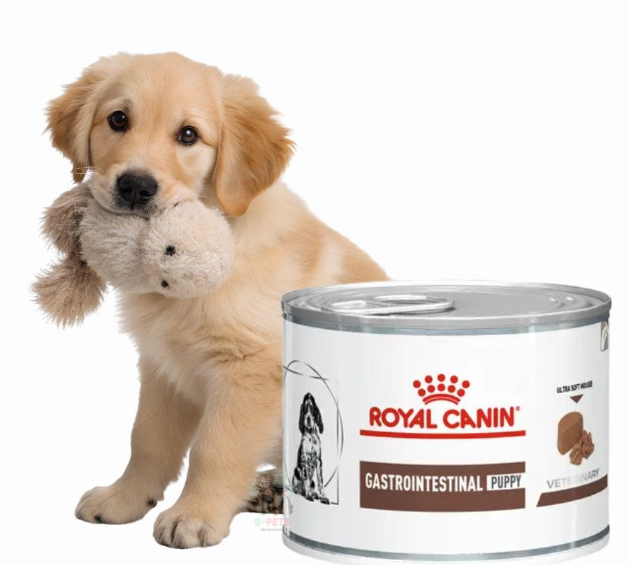 Pack 6x Royal Canin Lata Gastrointestinal Puppy 195g alimento húmedo digestible y energético para cachorros con sensibilidad gastrointestinal.