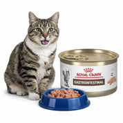 Pack 6x Royal Canin Lata Gastrointestinal 145Gr es un alimento húmedo para gatos con sensibilidad digestiva, con alta energía y prebióticos para una mejor digestión.