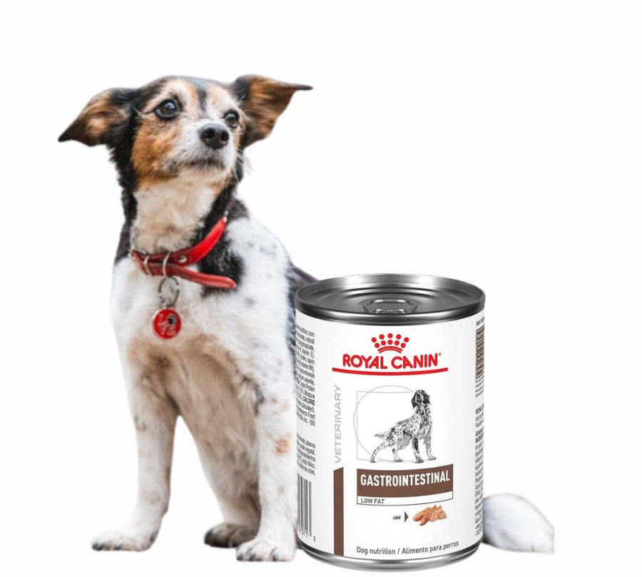Pack 6x Royal Canin Lata Gastrointestinal Perro 385Gr, alimento húmedo de alta digestibilidad, ideal para perros con sensibilidad digestiva o en recuperación.