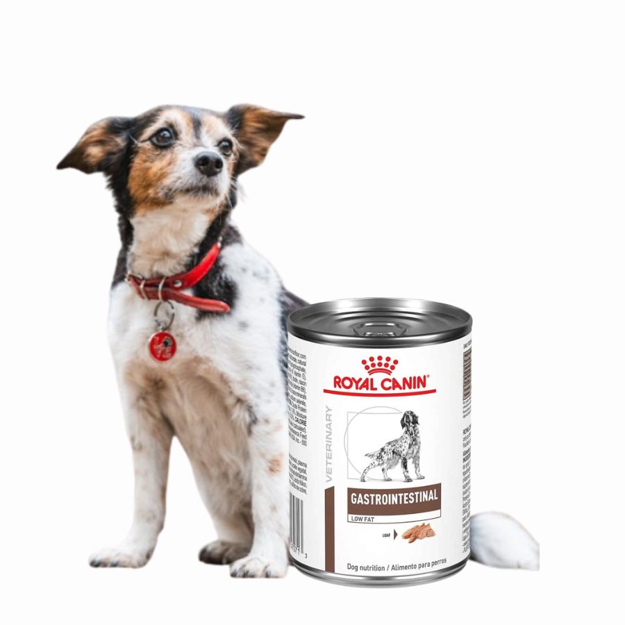 Pack 6x Royal Canin Lata Gastrointestinal Perro 385Gr, alimento húmedo de alta digestibilidad, ideal para perros con sensibilidad digestiva o en recuperación.