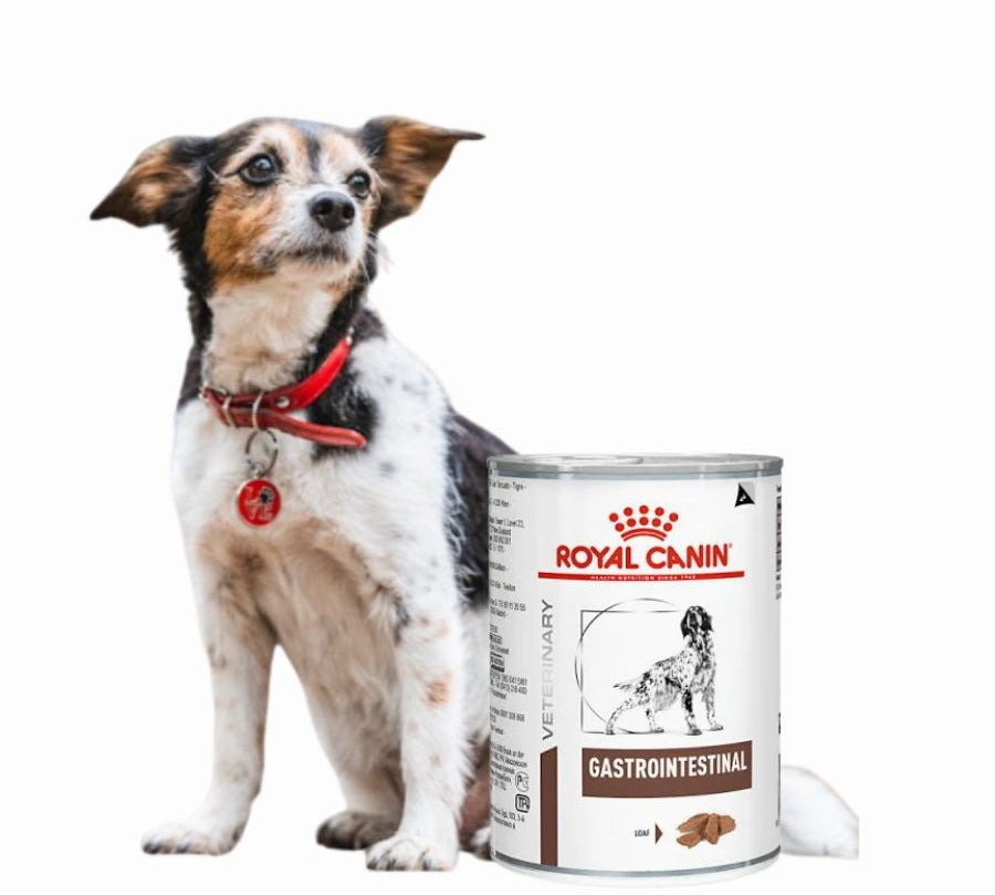 Pack 6x Royal Canin Lata Gastrointestinal Perro 385Gr, alimento húmedo de alta digestibilidad, ideal para perros con sensibilidad digestiva o en recuperación.