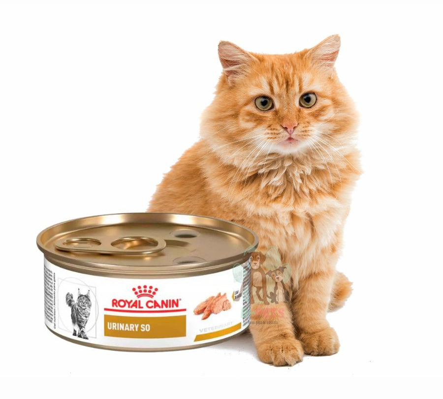 O para gatos, disuelve cálculos de estruvita y previene su formación. Promueve una salud urinaria óptima, baja en magnesio.