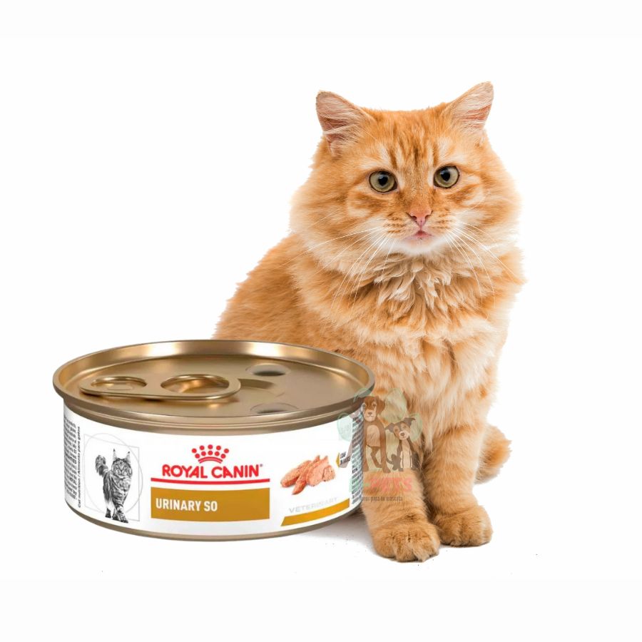 Pack 6x Alimento húmedo Royal Canin Urinary S/O para gatos, disuelve cálculos de estruvita y previene su formación. Promueve una salud urinaria óptima, baja en magnesio.