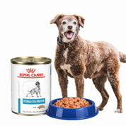 Pack 6x Royal Canin Latas Vet Diet Hydrolyzed Protein, hipoalergénico y altamente digestible, ideal para perros con alergias o intolerancias alimentarias.