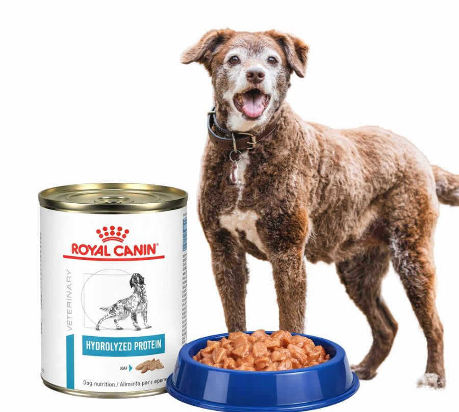 Pack 6x Royal Canin Latas Vet Diet Hydrolyzed Protein, hipoalergénico y altamente digestible, ideal para perros con alergias o intolerancias alimentarias.