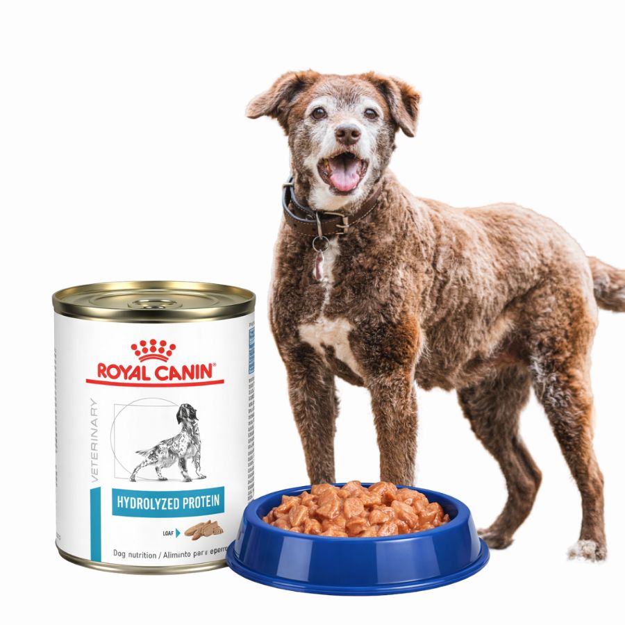 Pack 6x Royal Canin Latas Vet Diet Hydrolyzed Protein, hipoalergénico y altamente digestible, ideal para perros con alergias o intolerancias alimentarias.