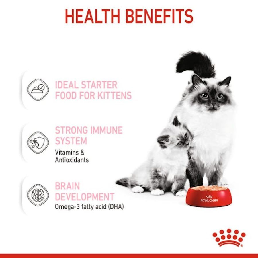 Pack 6x Royal Canin Mother & Babycat Lata 145gr: Alimento de iniciación para gatitos con textura mousse, apoya el microbioma y el sistema inmunológico. ¡Ideal para la salud de tu gatito!