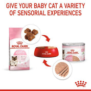 Pack 6x Royal Canin Mother & Babycat Lata 145gr: Alimento de iniciación para gatitos con textura mousse, apoya el microbioma y el sistema inmunológico. ¡Ideal para la salud de tu gatito!