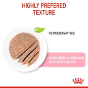 Pack 6x Royal Canin Mother & Babycat Lata 145gr: Alimento de iniciación para gatitos con textura mousse, apoya el microbioma y el sistema inmunológico. ¡Ideal para la salud de tu gatito!