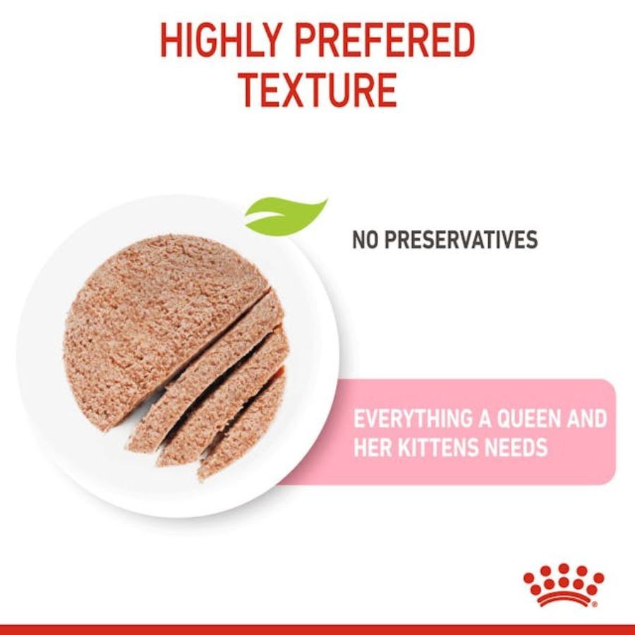 Pack 6x Royal Canin Mother & Babycat Lata 145gr: Alimento de iniciación para gatitos con textura mousse, apoya el microbioma y el sistema inmunológico. ¡Ideal para la salud de tu gatito!