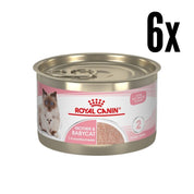 Pack 6x Royal Canin Mother & Babycat Lata 145gr: Alimento de iniciación para gatitos con textura mousse, apoya el microbioma y el sistema inmunológico. ¡Ideal para la salud de tu gatito!