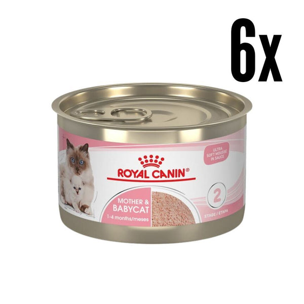 Pack 6x Royal Canin Mother & Babycat Lata 145gr: Alimento de iniciación para gatitos con textura mousse, apoya el microbioma y el sistema inmunológico. ¡Ideal para la salud de tu gatito!