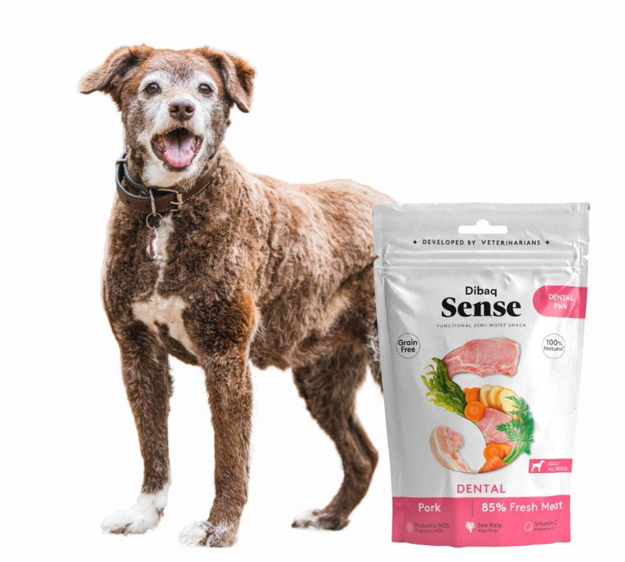 Pack 8x Snack Dental de Cerdo Dibaq Sense, con alga Kelp para el cuidado dental y cerdo fresco. Sabor irresistible y dientes más limpios.