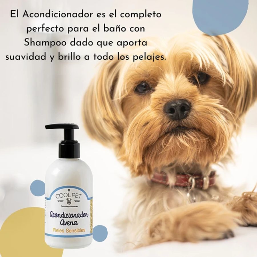 Pack Baño Perros Coolpet 🐾, shampoo y acondicionador de avena para pieles sensibles. Cuidado completo, brillo y suavidad con aroma irresistible.