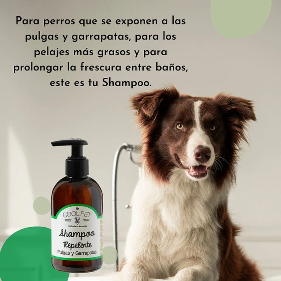 Pack Baño Repelente Coolpet 🛡️, shampoo y acondicionador con Tea Tree para proteger a tu perro de pulgas y garrapatas. Limpieza profunda y natural.
