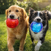 Pack Pelota Squeaker Gigwi Ball Medium pelotas resistentes con sonido, tecnología TPR y superficie dental. Ideales para perros medianos. Pack de 2.