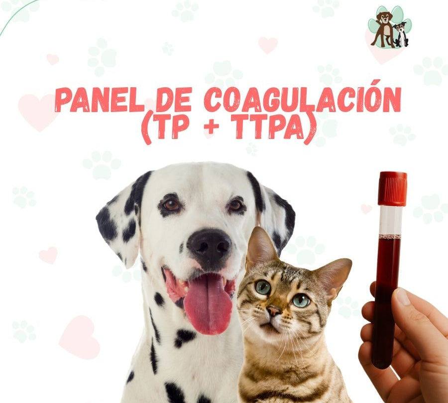 Examen Panel de Coagulación para perros y gatos - Resultados en 24 horas bpets.cl