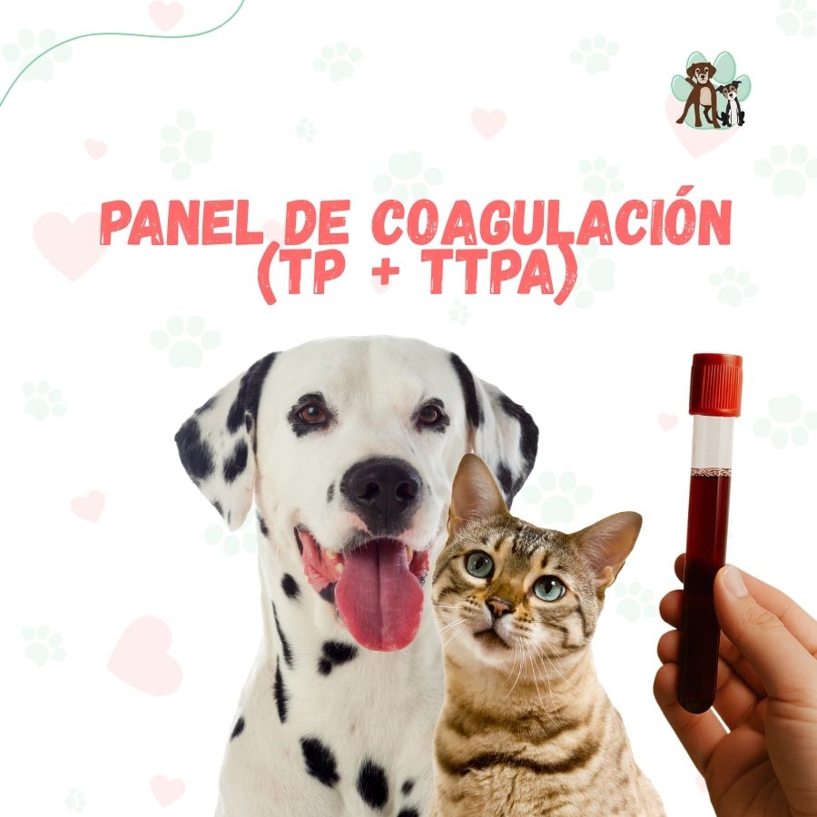 Examen Panel de Coagulación para perros y gatos - Resultados en 24 horas bpets.cl