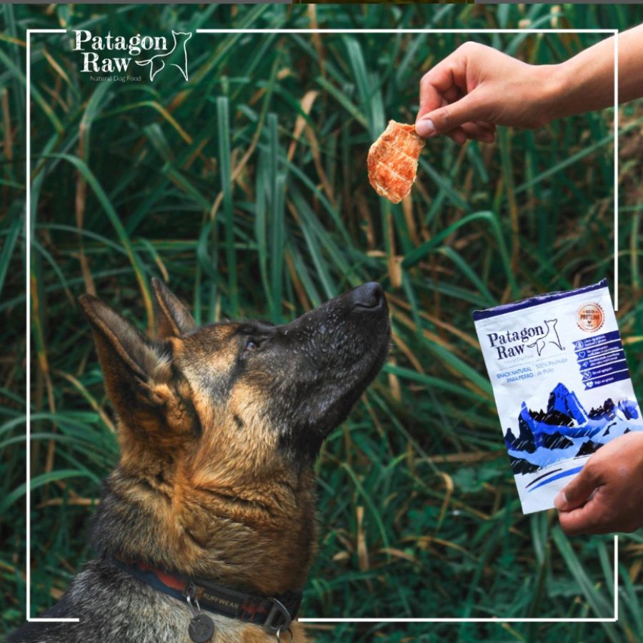 Patagon Raw Snack 100% Pechuga de Pollo: Delicioso snack natural para perros, libre de granos y bajo en grasas. Ideal para mantener a tu mascota saludable.🐾