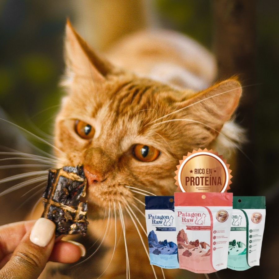 Patagon Raw Snack 100% Cordero Magallánico para Gatos, un snack natural y libre de granos, ideal para gatos con alergias alimenticias. 🌟🐱