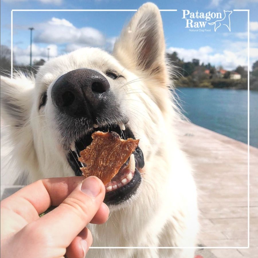 Patagon Raw Snack 100% Lomo de Cerdo para Perros, libre de granos y gluten, ideal para perros con sensibilidades alimentarias. Rico en proteínas y sin aditivos. 🐖