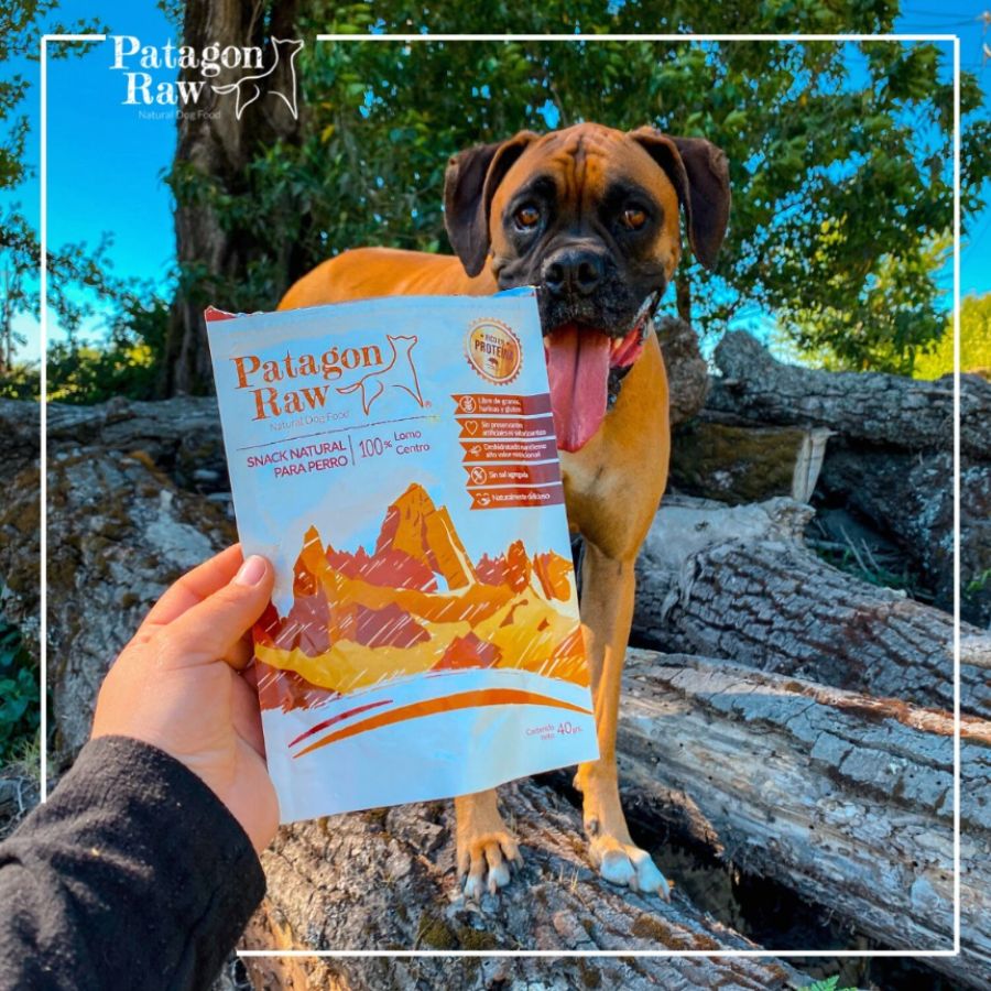 Patagon Raw Snack 100% Lomo de Cerdo para Perros, libre de granos y gluten, ideal para perros con sensibilidades alimentarias. Rico en proteínas y sin aditivos. 🐖