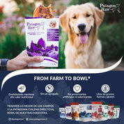 Patagon Raw Snack 100% Pechuga de Pavo para Perros, bajo en grasas y libre de granos, ideal para perros con alergias alimenticias. 🦃🐾