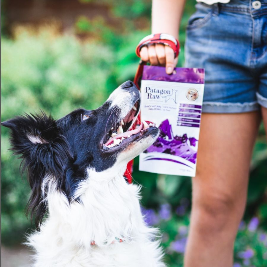 Patagon Raw Snack 100% Pechuga de Pavo para Perros, bajo en grasas y libre de granos, ideal para perros con alergias alimenticias. 🦃🐾