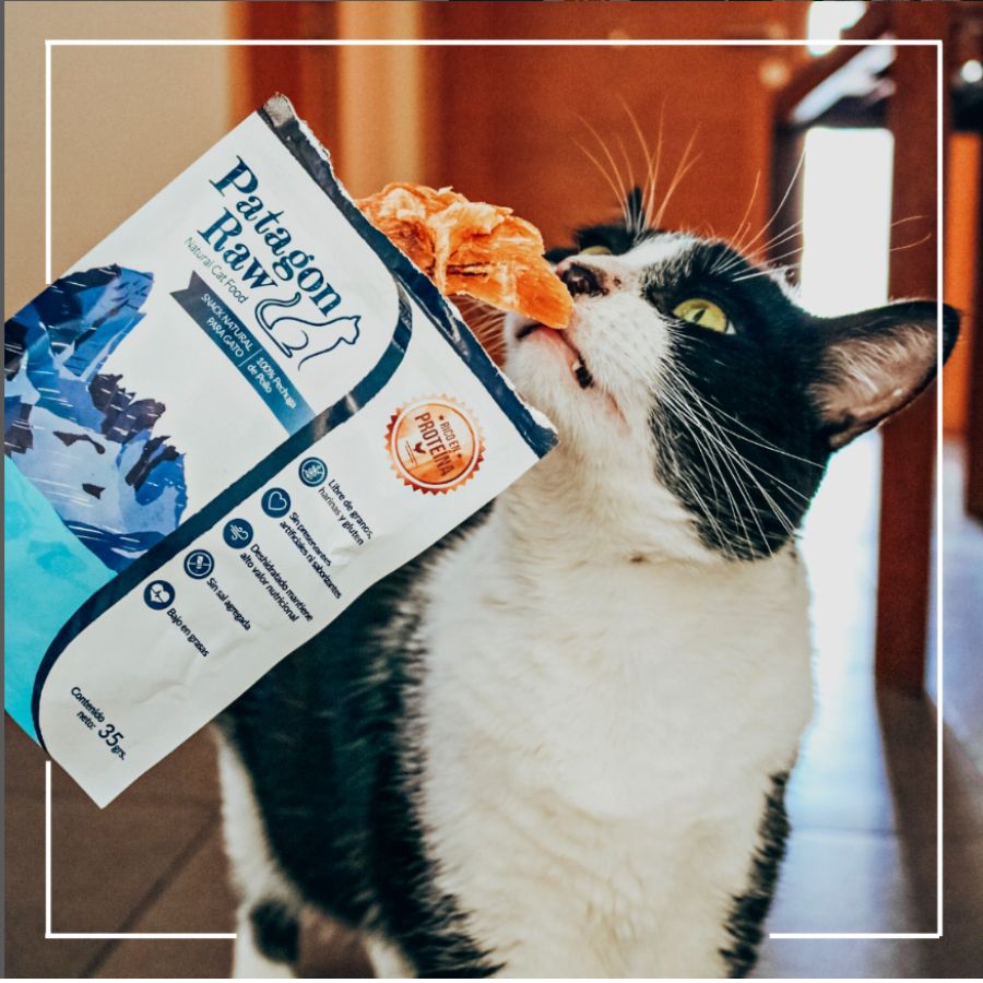 Patagon Raw Snack 100% Pechuga de Pollo para Gatos, rico en proteínas, sin granos ni gluten, ideal para una dieta saludable. 🐱✨