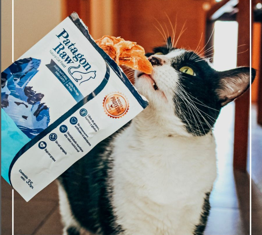 Patagon Raw Snack 100% Pechuga de Pollo para Gatos, rico en proteínas, sin granos ni gluten, ideal para una dieta saludable. 🐱✨