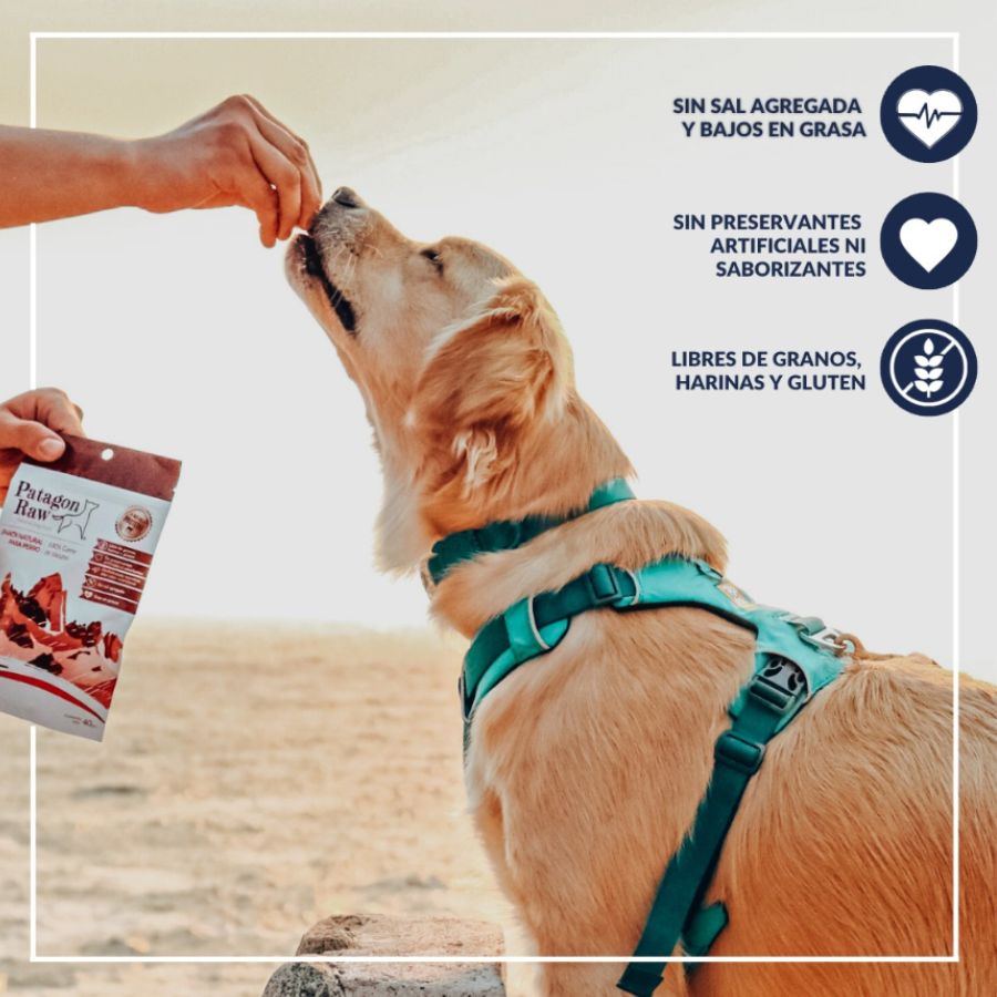 Patagon Raw Snack 100% Salmón Austral para Perros, rico en Omega 3 y 6, libre de granos y gluten, ideal para perros con alergias alimenticias. 🐾