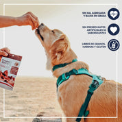 Patagon Raw Snack 100% Salmón Austral para Perros, rico en Omega 3 y 6, libre de granos y gluten, ideal para perros con alergias alimenticias. 🐾