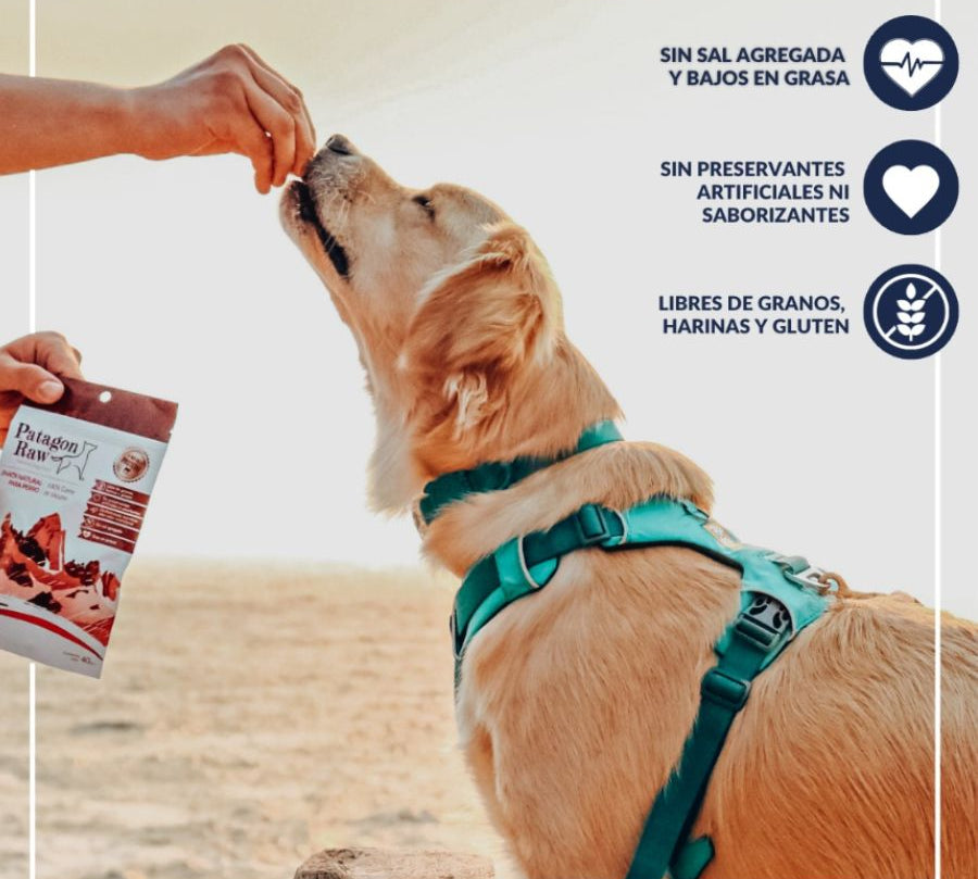 Patagon Raw Snack 100% Salmón Austral para Perros, rico en Omega 3 y 6, libre de granos y gluten, ideal para perros con alergias alimenticias. 🐾