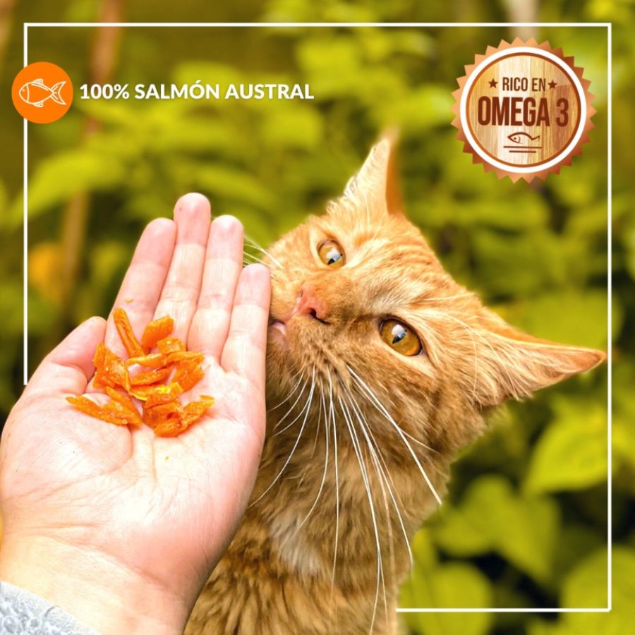 Patagon Raw Snack 100% Salmón Austral para Gatos, rico en Omega 3 y 6, sin granos ni gluten, ideal para una dieta saludable. 🐱✨
