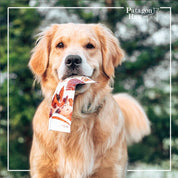 Patagon Raw Snack 100% Salmón Austral para Perros, rico en Omega 3 y 6, libre de granos y gluten, ideal para perros con alergias alimenticias. 🐾