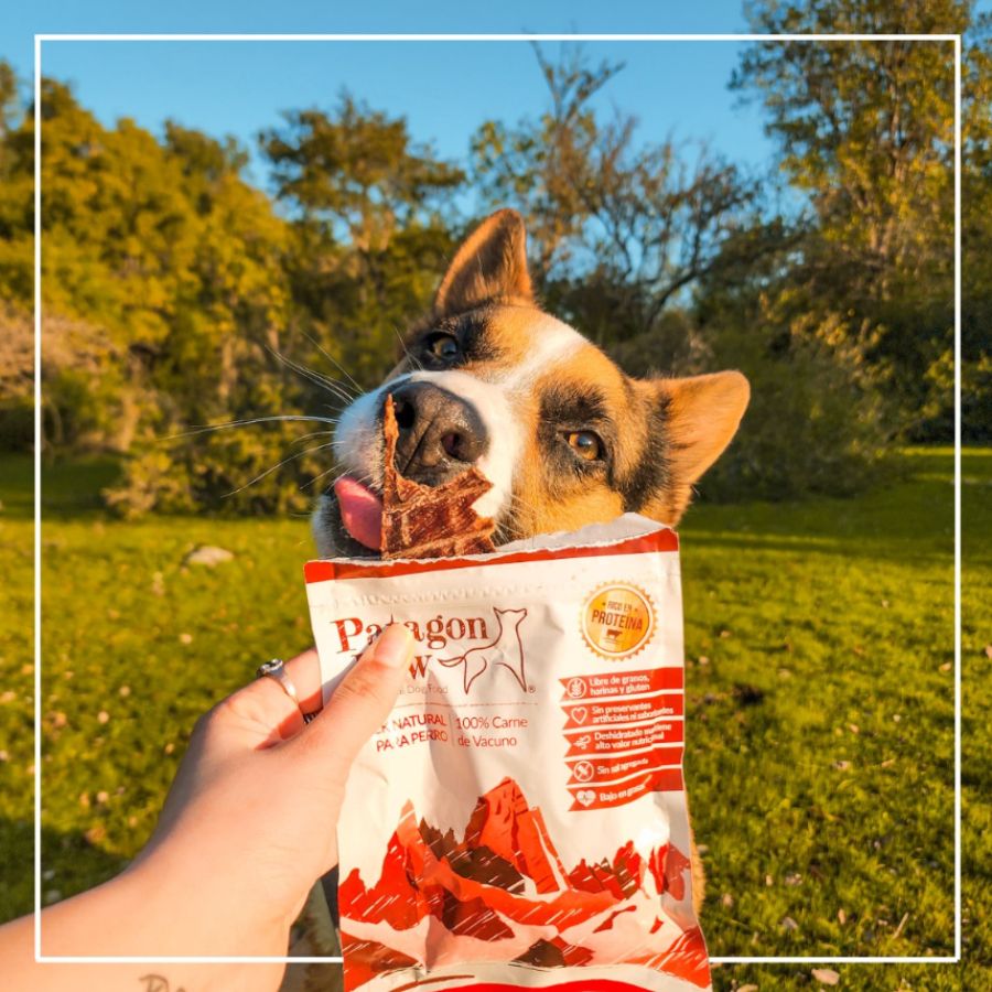 Patagon Raw Snack 100% Vacuno para Perros, libre de granos y gluten, alto en proteínas y sin aditivos. Perfecto para perros con alergias alimentarias. 🐄