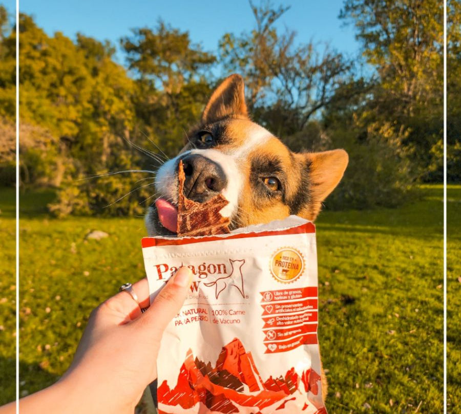 Patagon Raw Snack 100% Vacuno para Perros, libre de granos y gluten, alto en proteínas y sin aditivos. Perfecto para perros con alergias alimentarias. 🐄