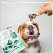 Patagon Raw Snack 100% Cordero Magallánico para Perros, sin granos ni gluten, ideal para perros con alergias alimentarias. Rico en nutrientes esenciales. 🐑