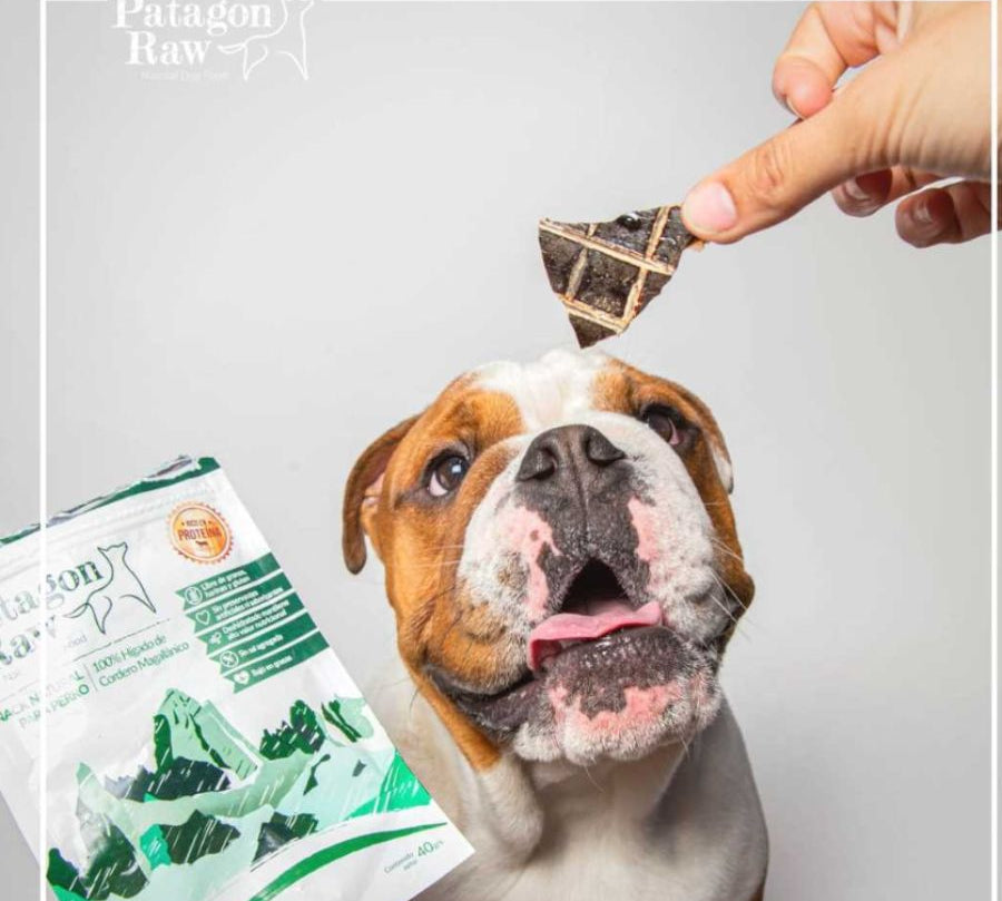 Patagon Raw Snack 100% Cordero Magallánico para Perros, sin granos ni gluten, ideal para perros con alergias alimentarias. Rico en nutrientes esenciales. 🐑
