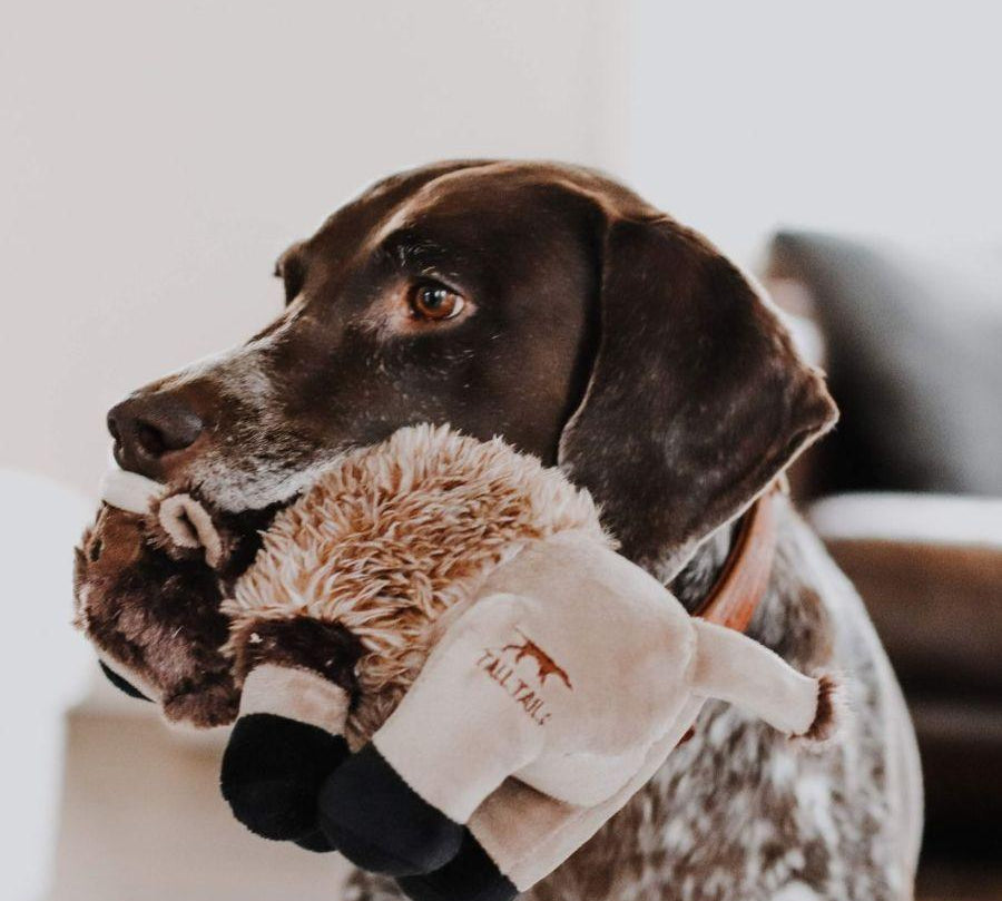 Peluche Búfalo con Sonido de Tall Tails, compañero perfecto para perros que aman abrazar peluches. Seguro, duradero y lavable a máquina. Tamaño: 22 cm.