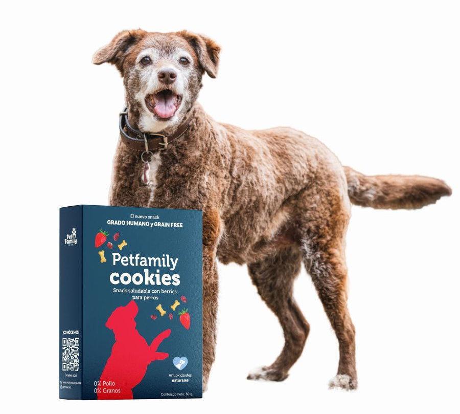 PetFamily Cookies Snack Saludable con Berries para Perros, galletas suaves, naturales y aptas para humanos, sin azúcar añadida ni colorantes.