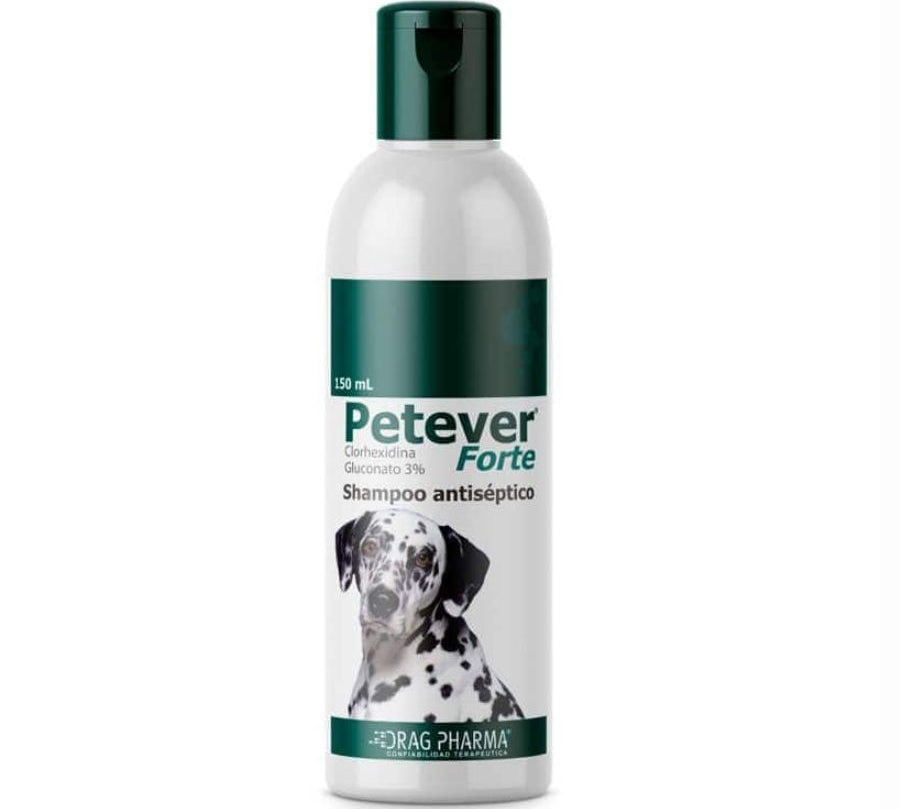 Petever Forte 150ml, shampoo antiséptico con clorhexidina para tratar infecciones bacterianas y fúngicas en la piel de perros.