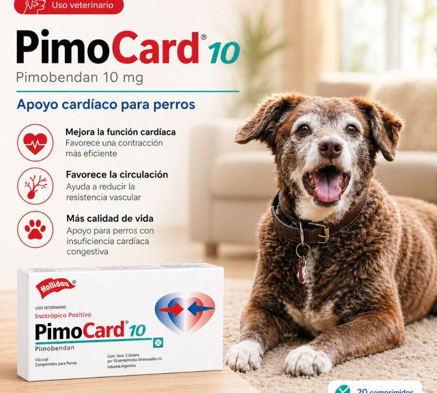 Pimocard Pimobendan 10 mg  para perros con insuficiencia cardíaca. Mejora la función cardíaca y reduce el estrés cardiovascular con efecto seguro y eficaz.