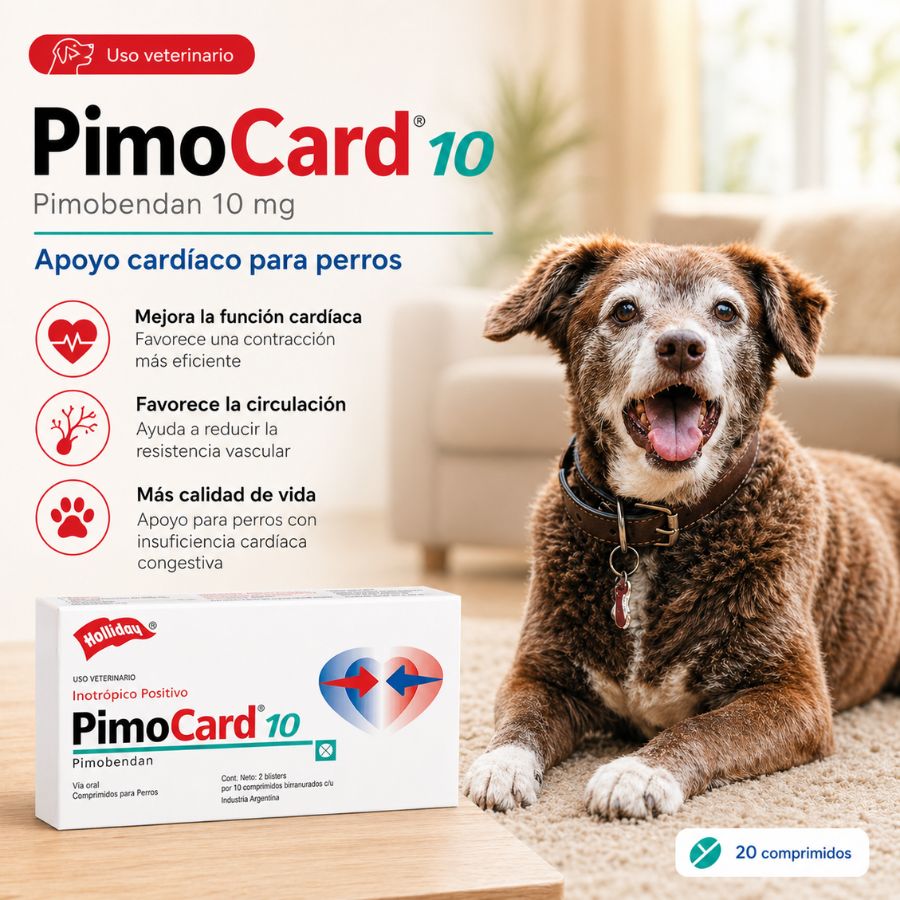 Pimocard Pimobendan 10 mg  para perros con insuficiencia cardíaca. Mejora la función cardíaca y reduce el estrés cardiovascular con efecto seguro y eficaz.