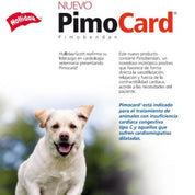 Pimocard Pimobendan 5 mg para perros con insuficiencia cardíaca. Mejora la función cardíaca y reduce el estrés cardiovascular con efecto seguro y eficaz.