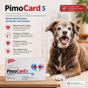 Pimocard Pimobendan 5 mg para perros con insuficiencia cardíaca. Mejora la función cardíaca y reduce el estrés cardiovascular con efecto seguro y eficaz.