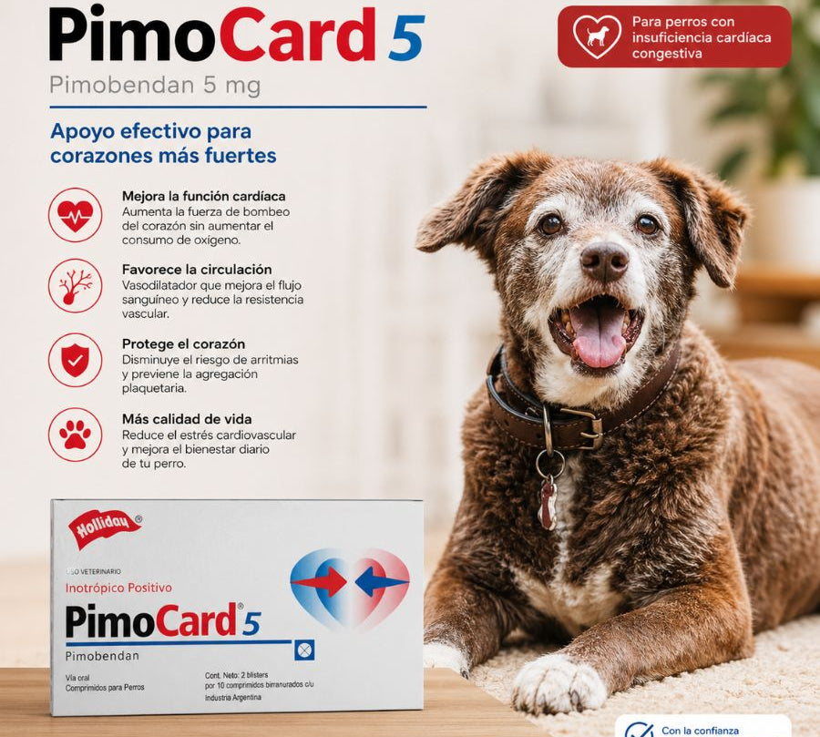 Pimocard Pimobendan 5 mg para perros con insuficiencia cardíaca. Mejora la función cardíaca y reduce el estrés cardiovascular con efecto seguro y eficaz.