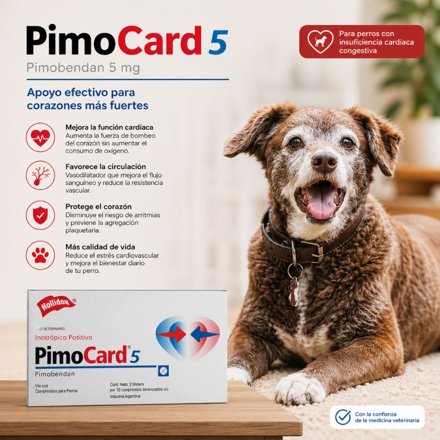 Pimocard Pimobendan 5 mg para perros con insuficiencia cardíaca. Mejora la función cardíaca y reduce el estrés cardiovascular con efecto seguro y eficaz.